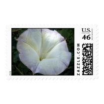 Moon Flower Postage Stamps
