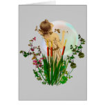 Moon Gazer cards