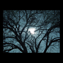 Moon Glow posters by Shadowchaser Moon Glow posters