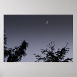 Moon Greeting Print