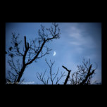 Moon HDR, Karma & Effect Photographix posters