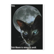 a lua é gato do lol da mina cartées postais