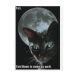moon is mine lol cat postcards