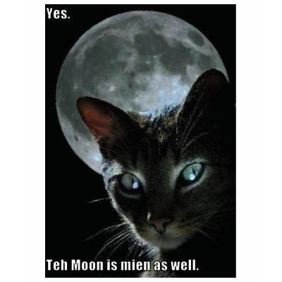 moon is mine lol cat t-shirt