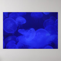 Moon Jellyfish Posters