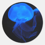 Moon Jellyfish Sticker