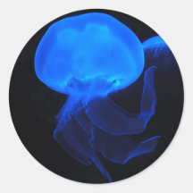 Moon Jellyfish Sticker
