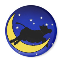 Moon Jumper magnets