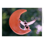 "Moon Landing" Bird Photography cards