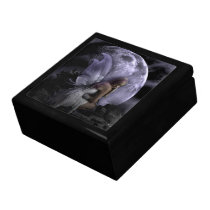 Moon Light Fairy Gift Box