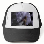 Moon Light Fairy hats