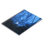 Moon on the rise notebooks