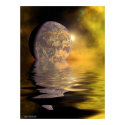 Moon on the water posters by Peter_Sharpe Moon on the water posters