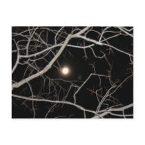 Moon on the Web postcard by pattirm1 Moon on the Web postcard