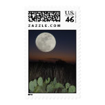 Moon over Cactus Stamp