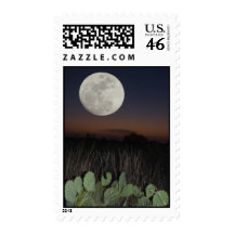 Moon over Cactus Stamp