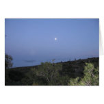 Moon Over Carlsbad cards