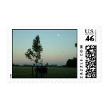 moon over Mt. Rainier Postage Stamps