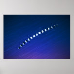 Moon Phases Poster
