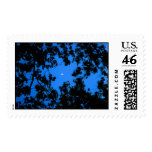 Moon Postage Stamp