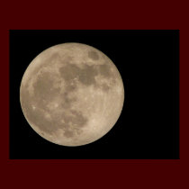 Moon Print Astronomy Lunar Full Moon Poster posters