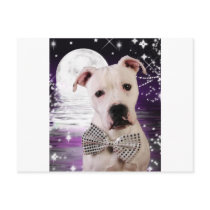 Moon puppy postcard