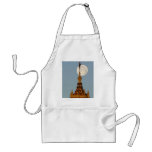 Moon Setting Over Tower Aprons