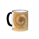 Moon Snail Mug