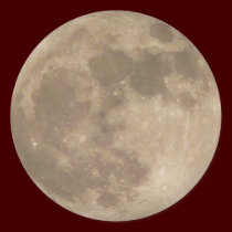 Moon Sticker Full Moon Stickers Fun Moon Gifts stickers