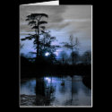 Moon Tree cards
