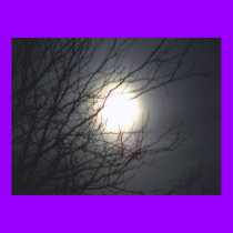 moon tree posters