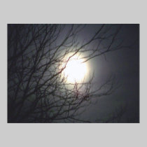 moon tree posters
