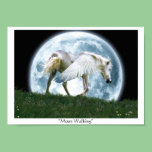 "MOON WALKING" Pegasus Art Poster posters
