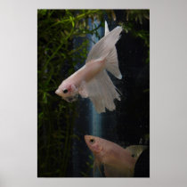 Moonba & Kyska Posters