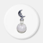 MoonBeamsInJar110709 copy Fridge Magnet