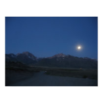 moondance posters by joacreations moondance posters