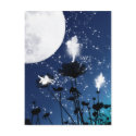 moonfaeries postcards by All_U_need_is_l0ve moonfaeries postcards