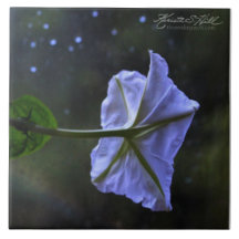 Moonflower Ceramic Tiles