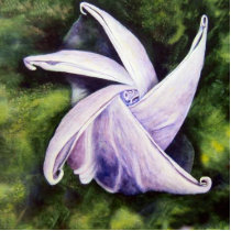 Moonflower Photo Sculpture photo sculptures by artbyjolyn Moonflower Photo Sculpture photo sculptures