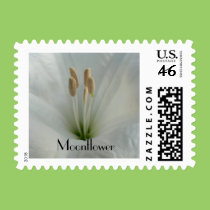 Moonflower stamps
