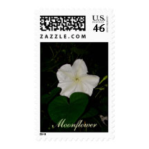 Moonflower Postage