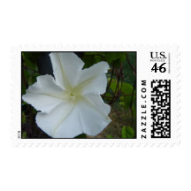 MoonFlower Postage Stamps