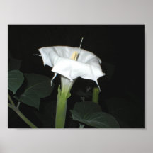 MoonFlower Posters