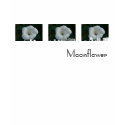Moonflower t-shirts by codfishlady Moonflower t-shirts