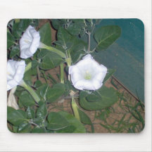 moonflowers mouse pads