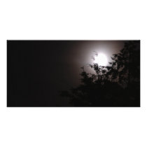 MoonFog070409 photo cards by ShroudedLake MoonFog070409 photo cards