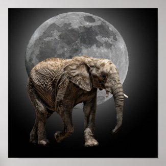 MOONGLOW ELEPHANT 2 print