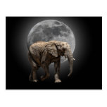 MOONGLOW ELEPHANT POSTCARDS