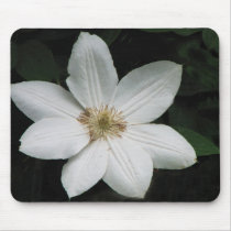 Moonglow mousepads by erin_kathleen Moonglow mousepads