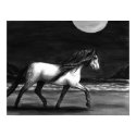 Moonlight Andalusion posters